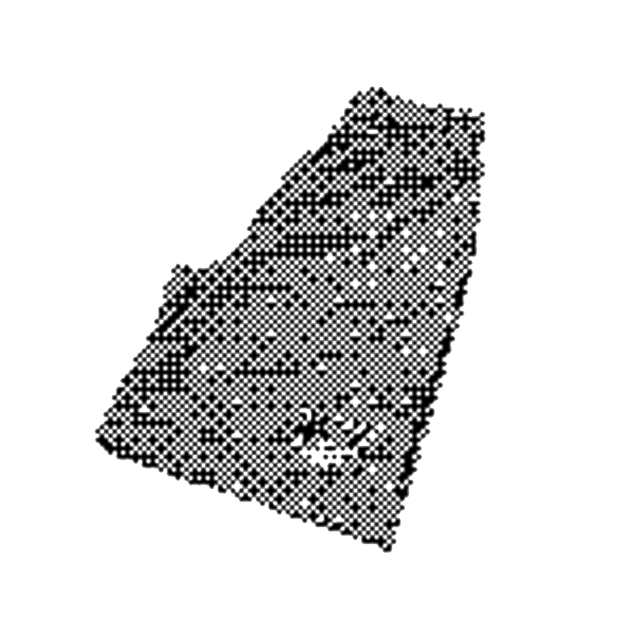 Trio Basketball Shorts