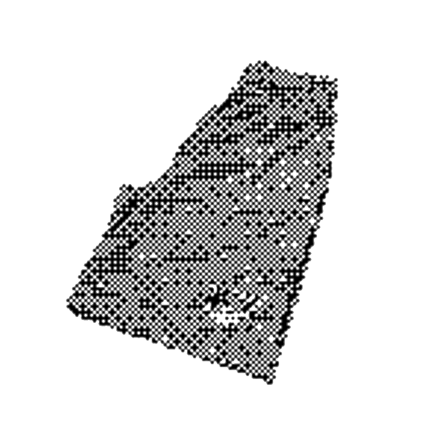 Trio Basketball Shorts